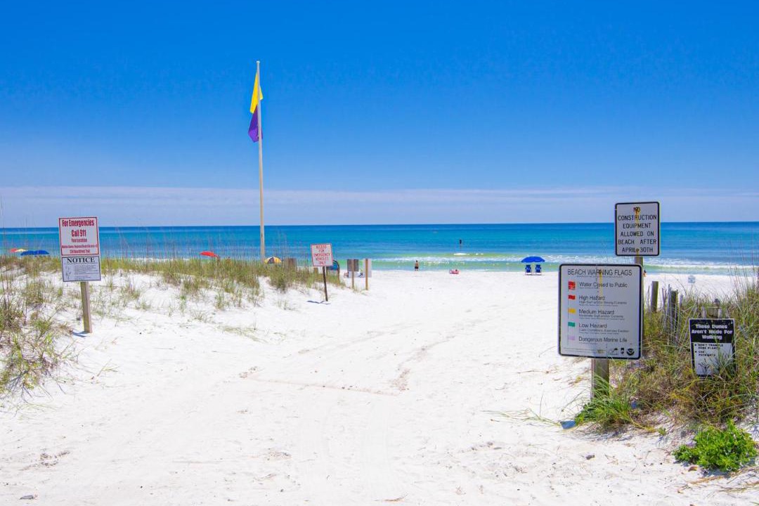 Photo of Others in Seagrove Beach