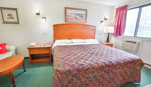Room, 1 King Bed