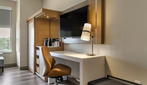 Room, 1 King Bed, Accessible (Roll-In Shower)
