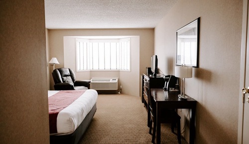Standard Room, 1 King Bed, Non Smoking