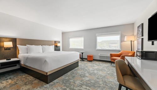 Standard Room, 1 King Bed, Non Smoking