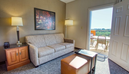 Room, 1 King Bed with Sofa bed, Terrace (Sofa Sleeper, Oversized )