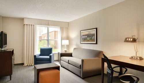 Suite, 1 King Bed, Accessible, Pool View (Bathtub)