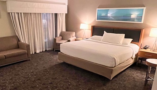 Room, 1 King Bed with Sofa bed, Non Smoking, Pool View