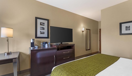 Standard Room, 1 King Bed, Non Smoking, Refrigerator