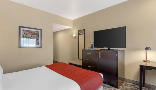Standard Room, 1 Queen Bed, Non Smoking, Refrigerator