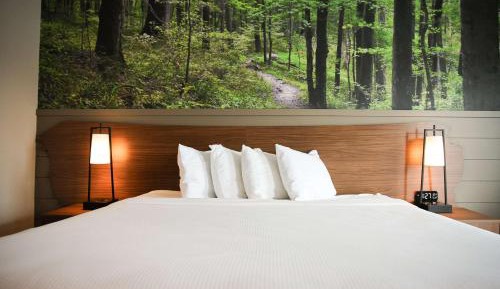 King Room with Roll-In Shower - Mobility Accessible